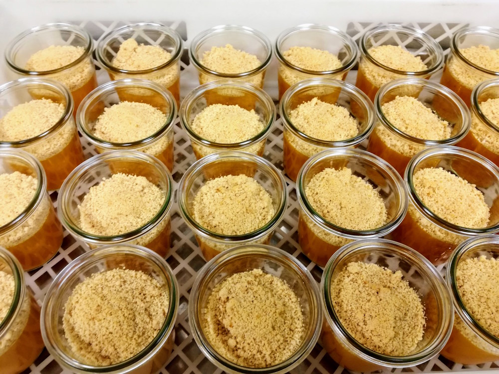 Au service du territoire